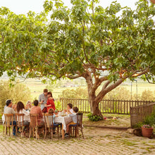 Load image into Gallery viewer, Brown Turkey Fig Tree