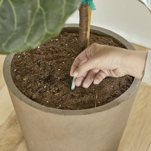 Load image into Gallery viewer, MiracleGro® House Plant Spikes