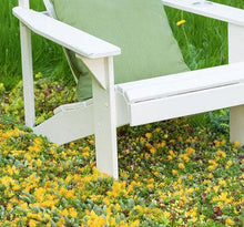 Load image into Gallery viewer, Sedum Tile® - Color Splash