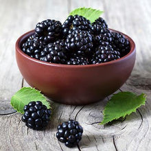 Load image into Gallery viewer, Triple Crown Blackberry Plant - USDA Organic