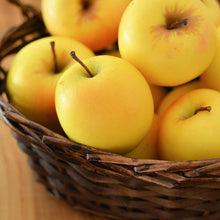 Load image into Gallery viewer, Yellow Delicious Apple Tree