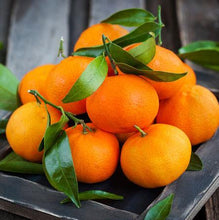 Load image into Gallery viewer, Clementine Tree - USDA Organic
