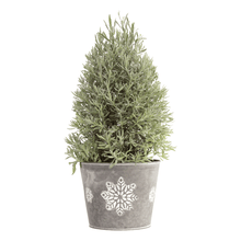 Load image into Gallery viewer, Goodwin Creek Gray Lavender
